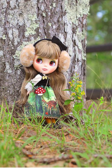 Dear Forest Deer