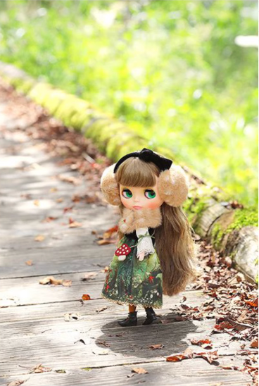 Dear Forest Deer